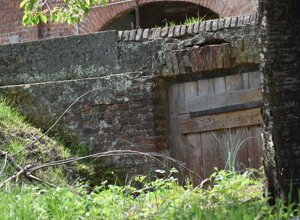 Porta di legno in un muro di mattoni in un parco pubblico Porta di legno in un muro di mattoni in un parco pubblico