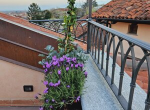 Terrazzo signorile con fiori e gelsomino rampicante a Pinerolo Terrazzo signorile con fiori e gelsomino rampicante a Pinerolo