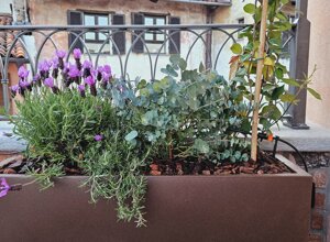 Progetto terrazzo con fioriere ricche di lavanda a Pinerolo per garantire privacy Progetto terrazzo con fioriere ricche di lavanda a Pinerolo per garantire privacy