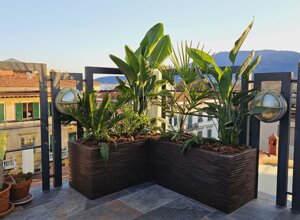 Terrazzo tropicale con piante verdi e vista panoramica