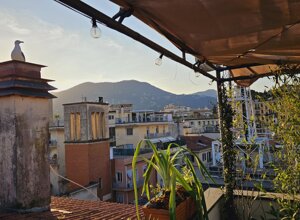 Vista di un terrazzo con giardino tropicale al tramonto