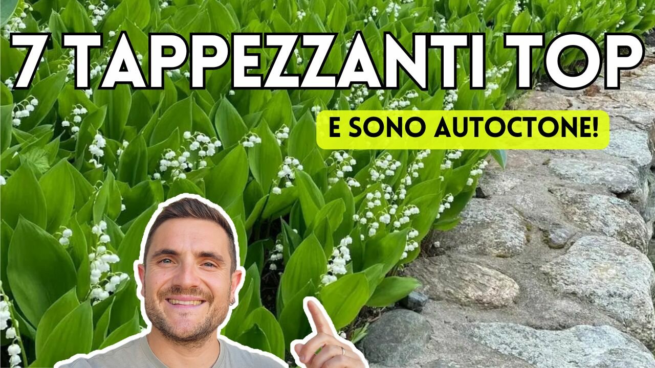 7 TAPPEZZANTI AUTOCTONE PER RIDURRE LA MANUTENZIONE DEL GIARDINO E AIUTARE LA BIODIVERSIT&Agrave;