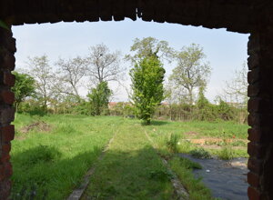 Vista di un parco pubblico attraverso un arco in mattoni, con prato verde e alberi sullo sfondo. Vista di un parco pubblico attraverso un arco in mattoni, con prato verde e alberi sullo sfondo.