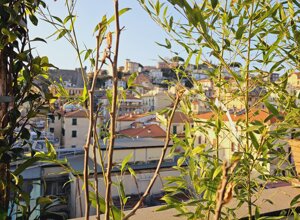 Terrazzo con piante tropicali che si affaccia sul panorama urbano