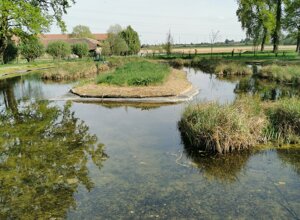 Parchi pubblici con stagno e vegetazione, riqualificazione alla rotta Stupinigi Parchi pubblici con stagno e vegetazione, riqualificazione alla rotta Stupinigi