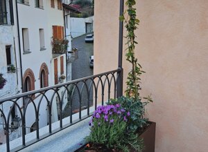 Terrazzo signorile con gelsomino rampicante a Pinerolo Terrazzo signorile con gelsomino rampicante a Pinerolo