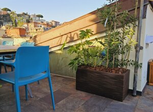 Terrazzo tropicale con piante in vaso e sedie blu