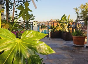 Terrazzo tropicale con piante verdi e panorama urbano