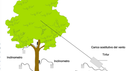 Illustrazione di strumenti per l'analisi della stabilità degli alberi, con inclinometri e dinamometro.