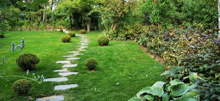 Giardino verde con sentiero in pietra e arbusti, progettazione verde e design giardini.