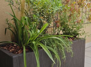 Fioriera moderna su terrazzo mediterraneo con piante verdi Fioriera moderna su terrazzo mediterraneo con piante verdi