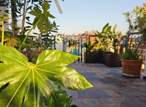 terrazzo tropicale con piante verdi in vaso e sedie al tramonto