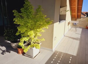 Terrazzo mediterraneo con piante in vaso e tavolino, progettazione terrazzo Terrazzo mediterraneo con piante in vaso e tavolino, progettazione terrazzo