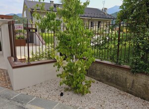 Giardino privato con siepe verde a sfioro e progettazione mediterranea Giardino privato con siepe verde a sfioro e progettazione mediterranea