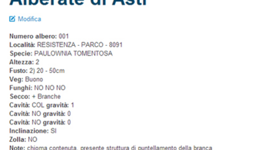 Scheda informativa albero Paulownia tomentosa ad Asti