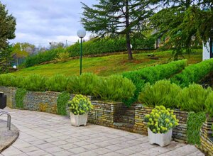 Giardino privato con piscina e piante sempreverdi a Frossasco Giardino privato con piscina e piante sempreverdi a Frossasco