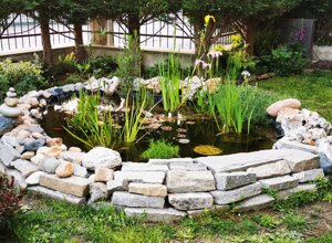 Giardino privato con biolago e fitodepurazione a Torino