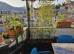 Terrazzo con piante esotiche e vista sulla città