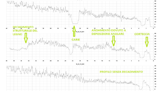 Grafico dei profili con e senza decadimento strutturale del legno, evidenziati corteccia, carie e deposizione anulare.