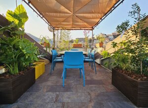 Terrazzo tropicale con piante verdi e sedie blu sotto una pergola