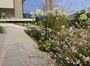 Giardino privato con verde a sfioro e flora mediterranea Giardino privato con verde a sfioro e flora mediterranea