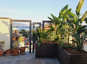 Terrazzo con piante tropicali e vista sul mare