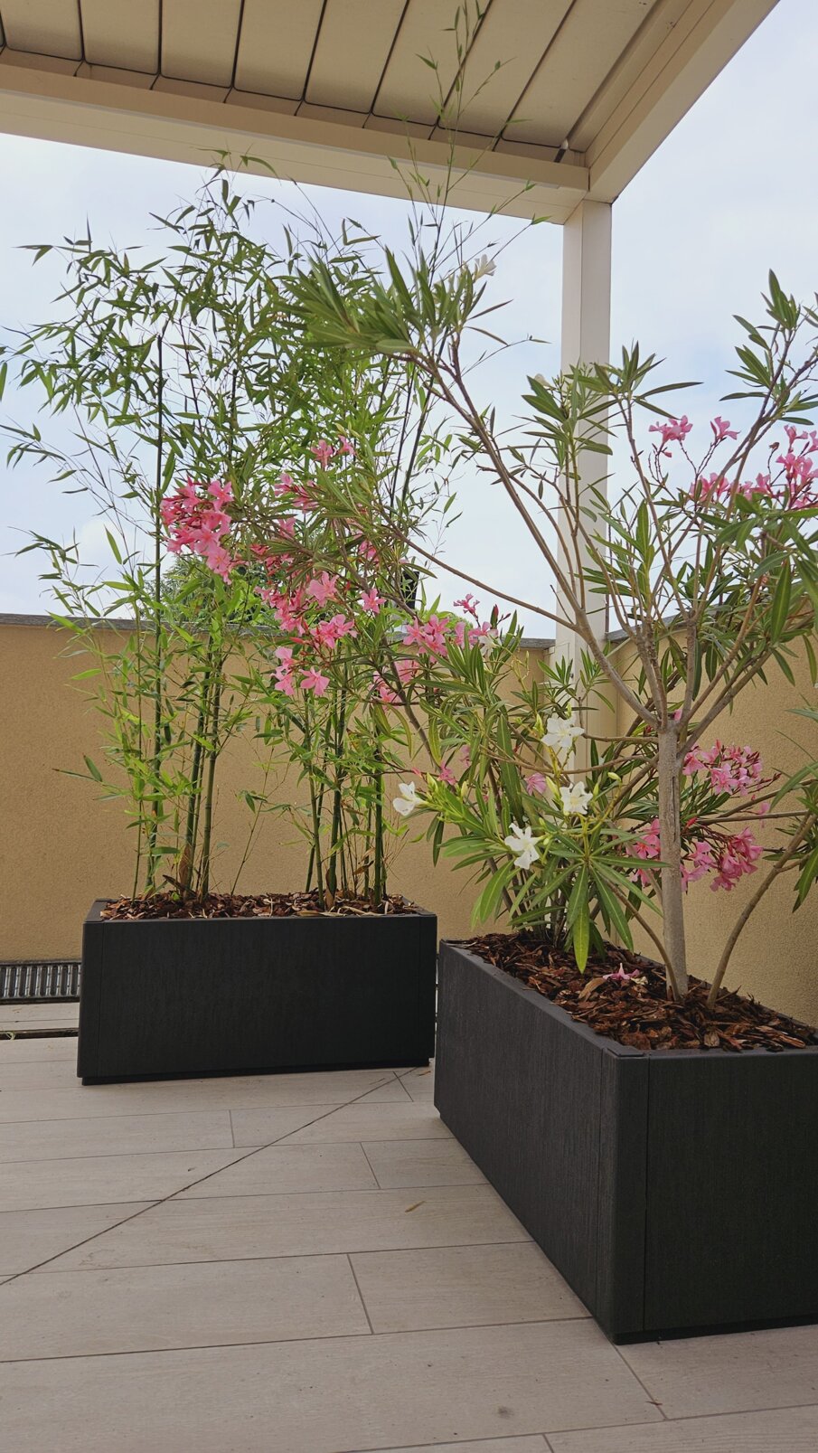 Terrazzo mediterraneo con fiori colorati in vasi moderni Terrazzo mediterraneo con fiori colorati in vasi moderni