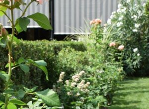 Giardino privato con rose e prato, Milano