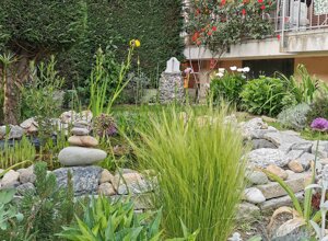 Giardino privato con biolago e piante verdi a Torino