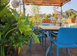 Terrazzo tropicale con sedie blu e piante rigogliose