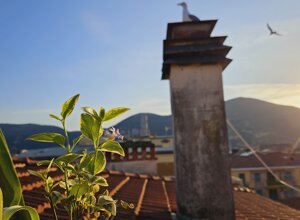 Vista di un giardino su un terrazzo al tramonto con vista montana