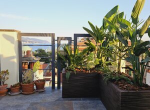 Terrazzo con giardino tropicale vista mare