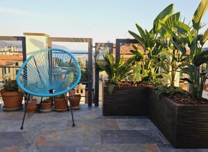 Terrazzo tropicale con piante esotiche e sedia blu