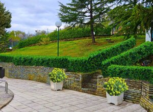 Giardino privato con progettazione verde e massi ciclopici a Frossasco Giardino privato con progettazione verde e massi ciclopici a Frossasco