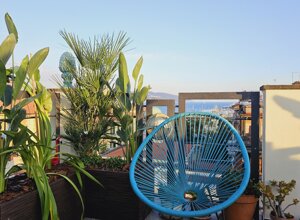 Terrazzo tropicale con vista mare e poltrona blu accanto a piante verdi