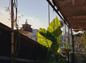 Terrazzo tropicale al tramonto con piante lussureggianti