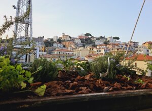 Terrazzo con piante aromatiche e vista di un borgo sullo sfondo