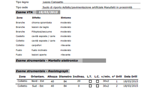 Indagine fitostatica su Sophora Japonica presso Scuola Cantieri con dettagli su condizioni vegetative e analisi strumentali.