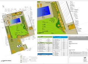Progettazione giardino privato con piscina e piante a Udine