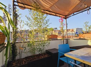 Terrazzo tropicale con piante e sedie blu, vista panoramica su edifici