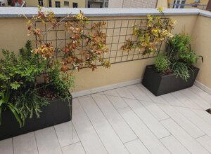 Terrazzo mediterraneo con piante in vasi e graticcio Terrazzo mediterraneo con piante in vasi e graticcio