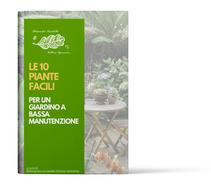 Copertina dell'e-book 'Le 10 piante facili per un giardino a bassa manutenzione' con sfondo di piante e tavolino da giardino.