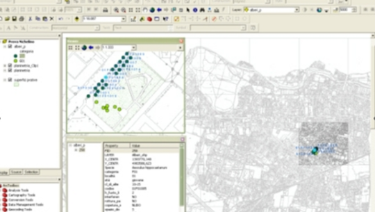 Screenshot di un software GIS utilizzato per l'analisi geografica dei dati.