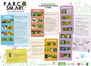 Poster informativo sulla biodiversità con immagini di insetti come api, sirfidi, lepidotteri e coleotteri, progettato per educare su diverse specie e il loro ruolo negli ecosistemi.