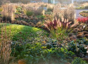 Giardino con piante ornamentali e vegetazione al tramonto, progettazione parchi pubblici, design sostenibile