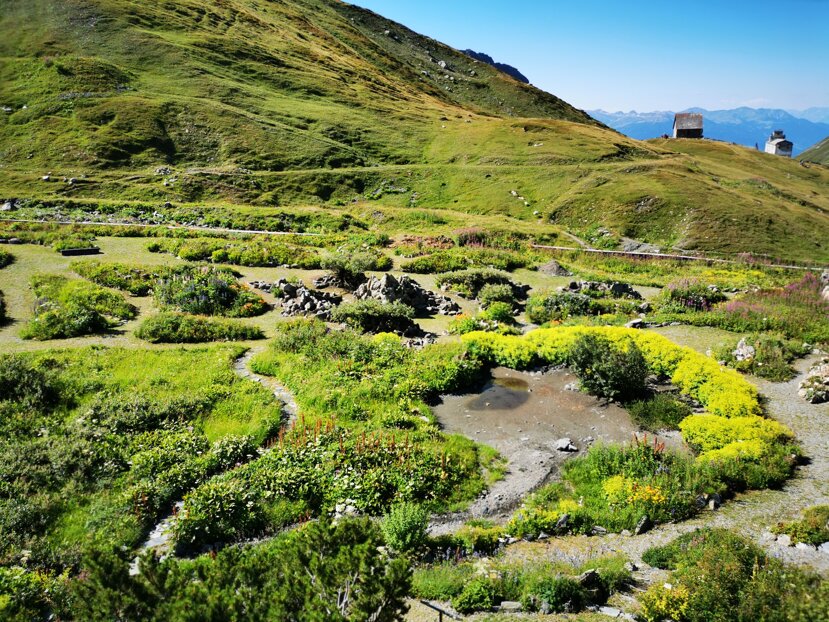 Giardino alpino La Chanousia con sentieri e vegetazione montana
