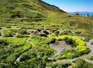 Giardino alpino La Chanousia con paesaggio montano e specie alpine