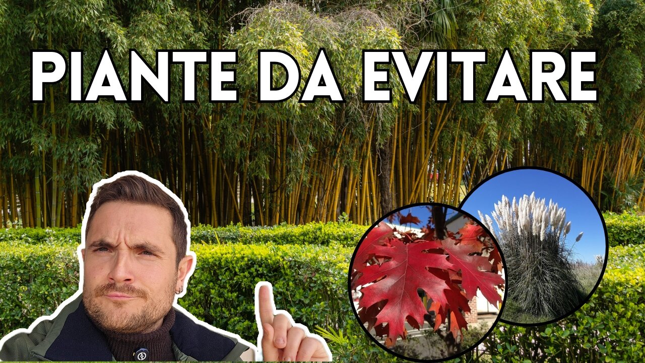 PIANTE DA EVITARE IN GIARDINO: 7 specie che possono diventare un problema