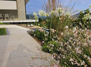 Giardino privato con flora mediterranea e verde a sfioro Giardino privato con flora mediterranea e verde a sfioro