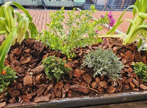 Terrazzo tropicale con piante e fiori colorati su substrato di corteccia